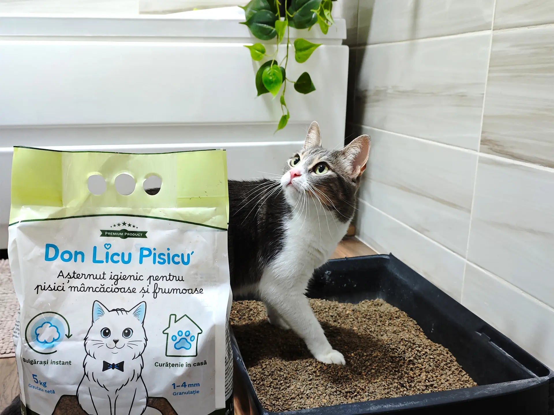 Bentonita naturală Don Licu Pisicu’: legătura pisicii tale cu natura, chiar și în cele mai intime momente