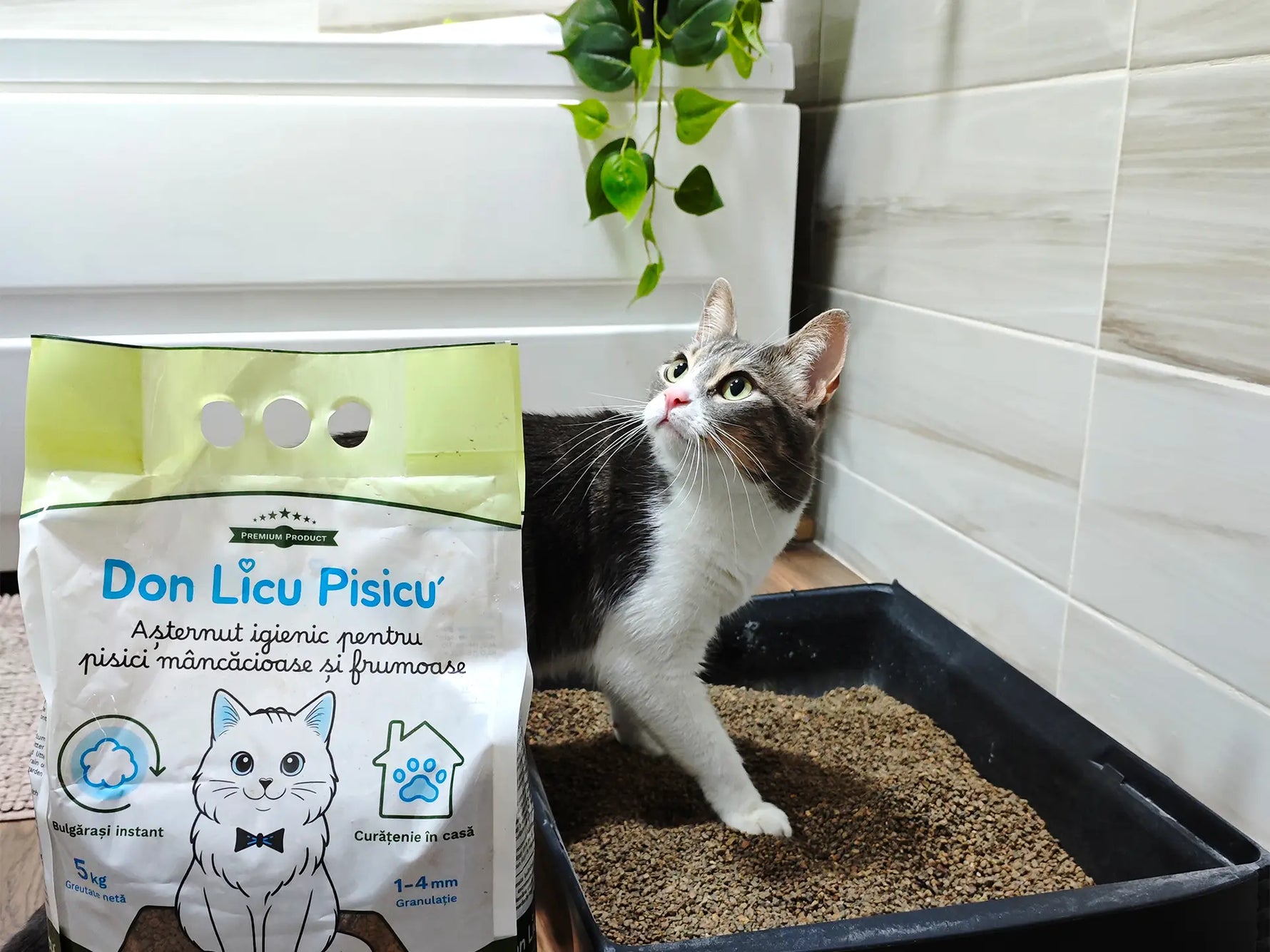 Bentonita naturală Don Licu Pisicu’: legătura pisicii tale cu natura, chiar și în cele mai intime momente