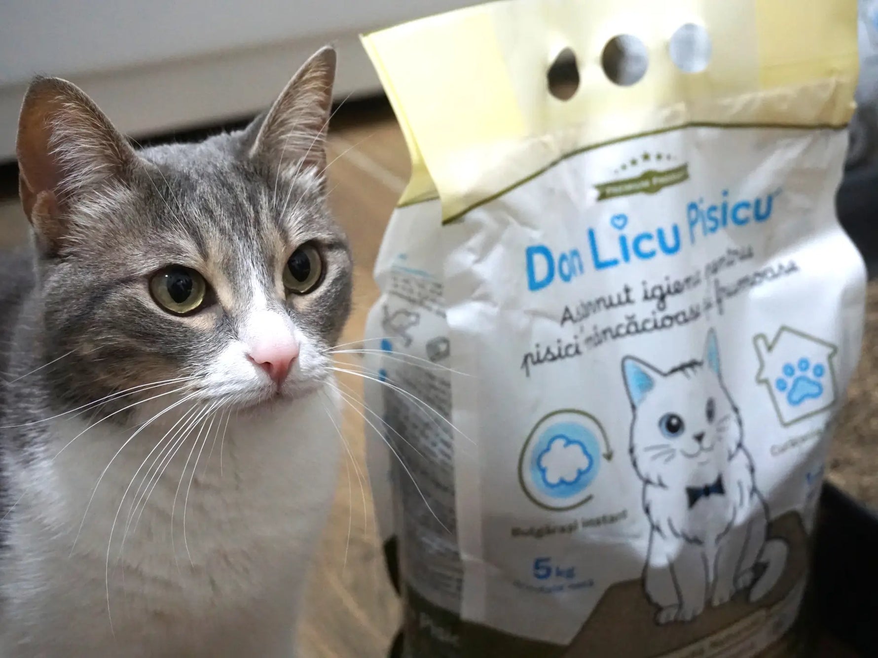 Bentonita naturală: utilizări fără egal în multiple industrii și perfectă pentru așternutul igienic pentru pisici