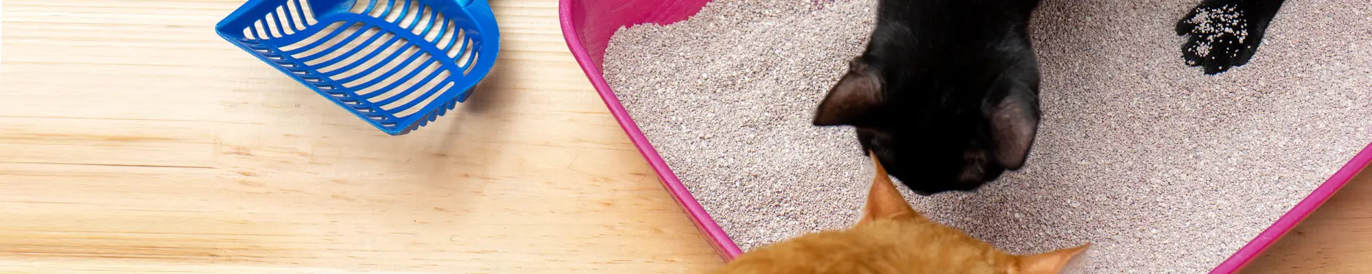 Higiénikus macskaalom természetes bentonitból, 10 kg