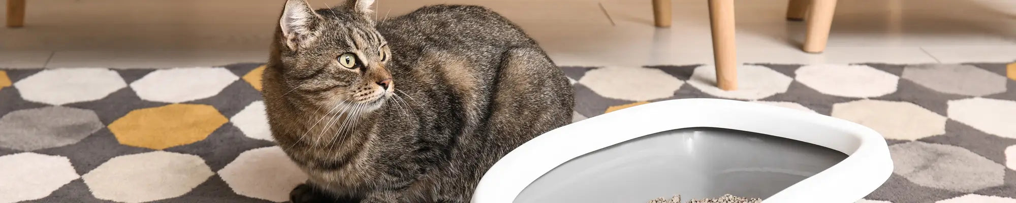 Higiénikus macskaalom természetes bentonitból, 20 kg