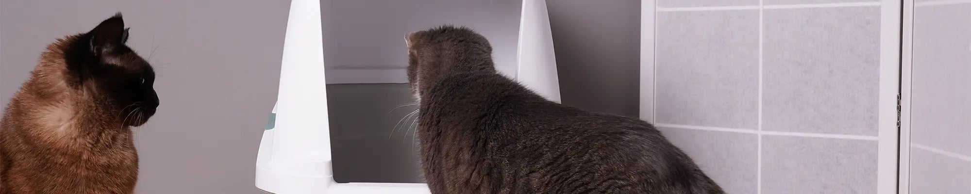 Așternut Premium Litieră Pisici: Bentonită, Cassava, Tofu