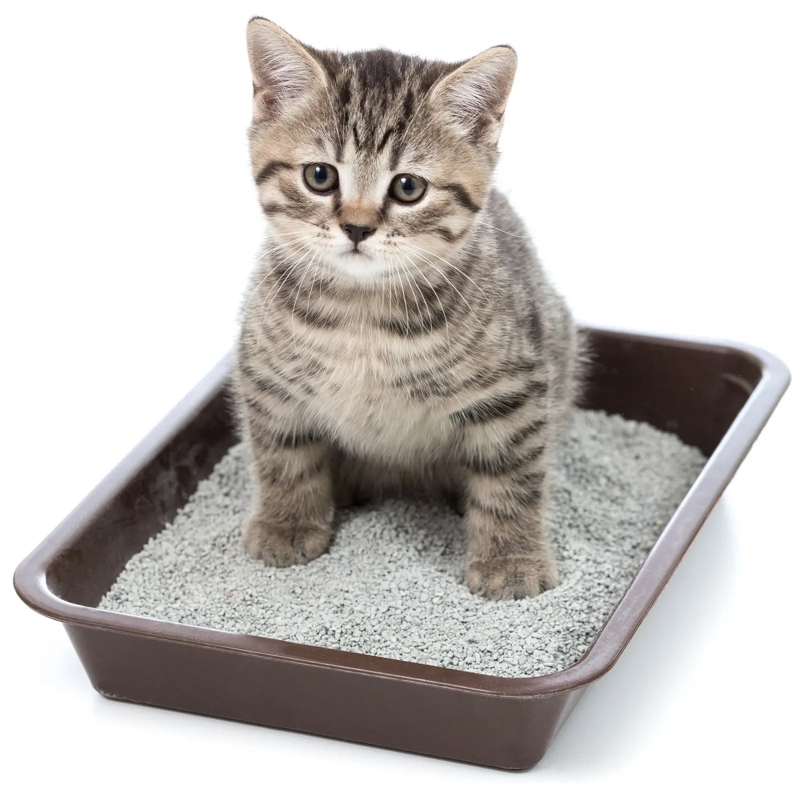 Higiénikus macskaalom: 100% természetes bentonit, organikus jázmin illattal, vegyi anyagok nélkül, 5 kg