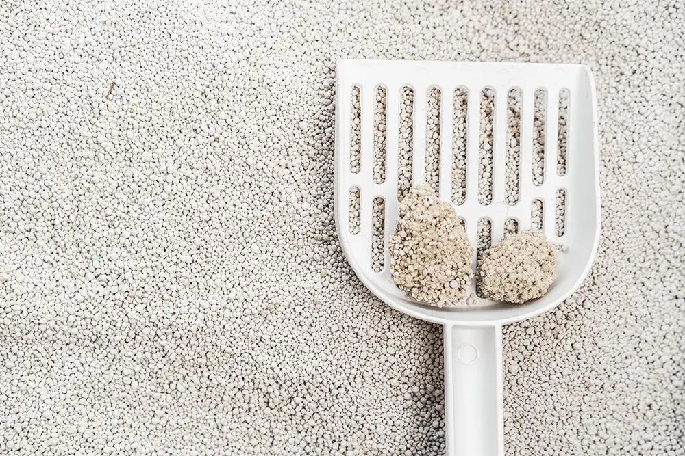 Macskaalom: 100% természetes bentonit, 1-4 mm - Hatékony csomósodás