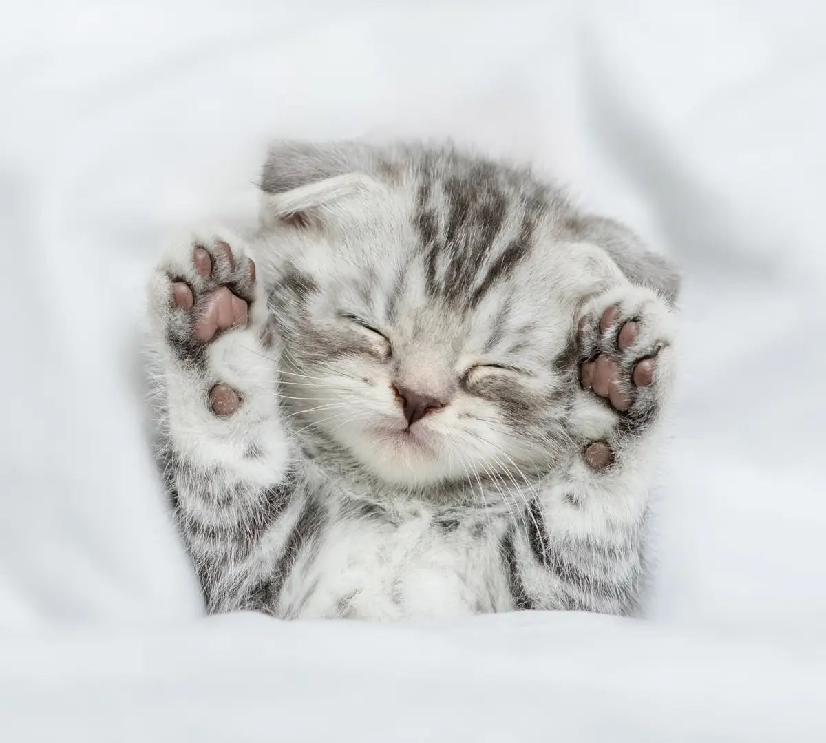 Természetes bentonit - Macskaalom - Fizikai tulajdonságok