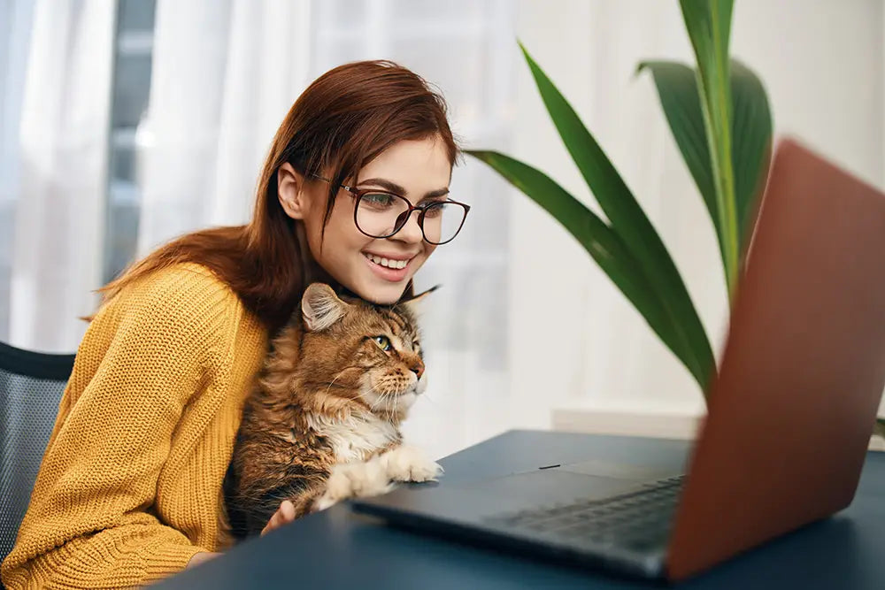 Cum câștigi Puncte