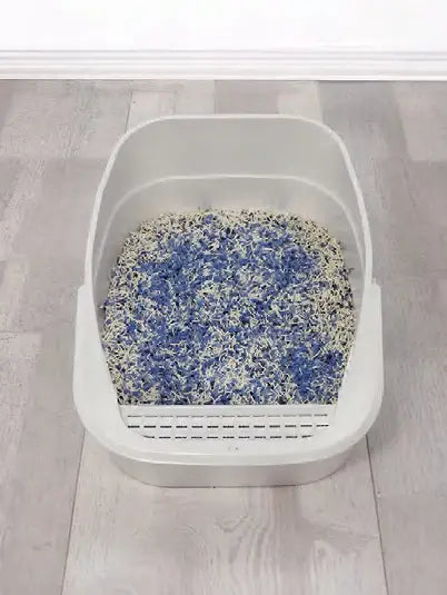 Utilizare dezodorizant cu eliminarea amoniacului Don Licu Pisicu' - pas 2